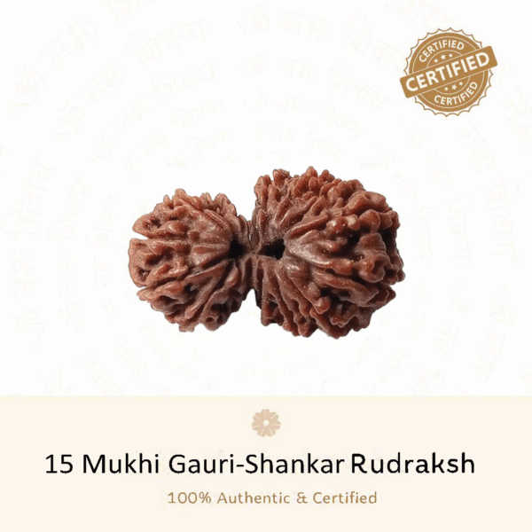 15 Mukhi Gauri Shankar Rudraksh