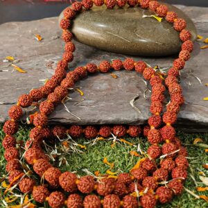 5 Mukhi Mala - Jap Mala