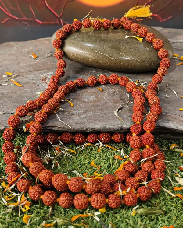 5 Mukhi Mala - Jap Mala