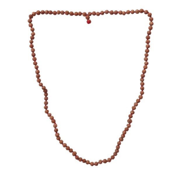 5 Mukhi Mala - Zero Size