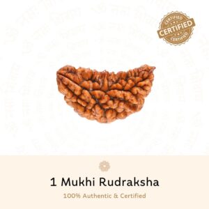 1 Mukhi Rudraksh - Golden Dana